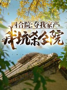 兩個老六小說|四合院之兩個老六小說章節列表